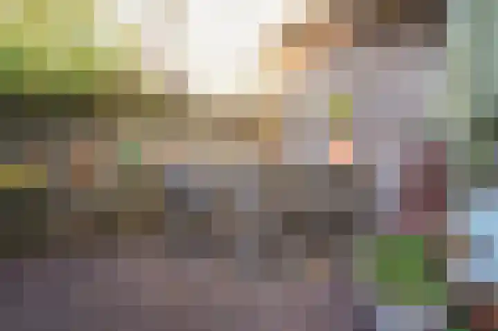 Concordiastraat 21 Utrecht thumbnail 29