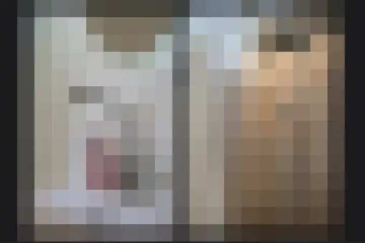 Concordiastraat 21 Utrecht thumbnail 5