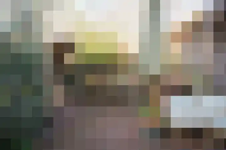 Concordiastraat 21 Utrecht thumbnail 6
