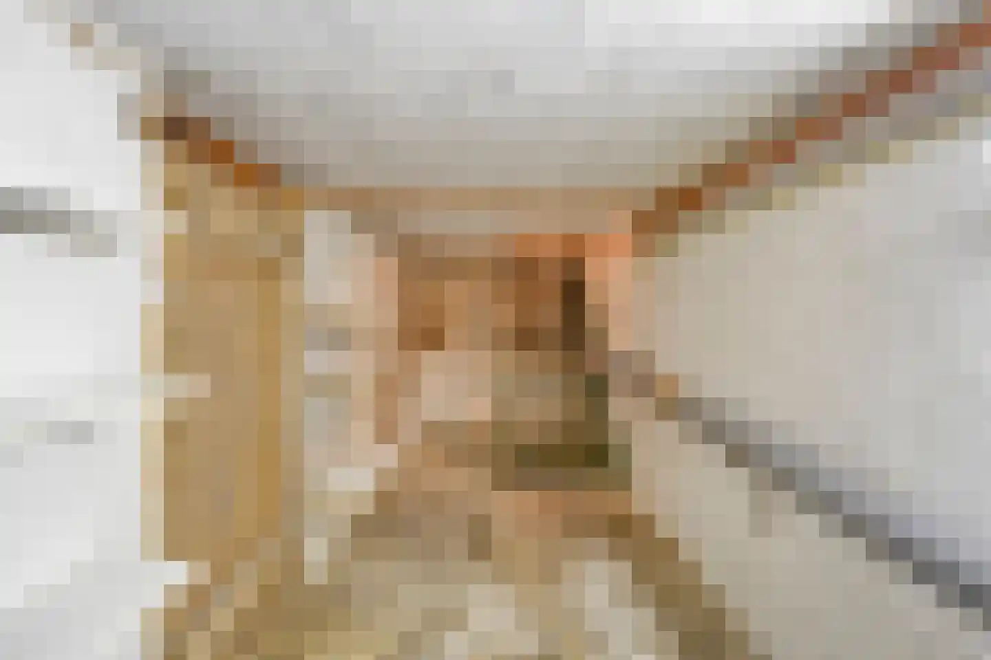 Concordiastraat 22 Maastricht thumbnail 18