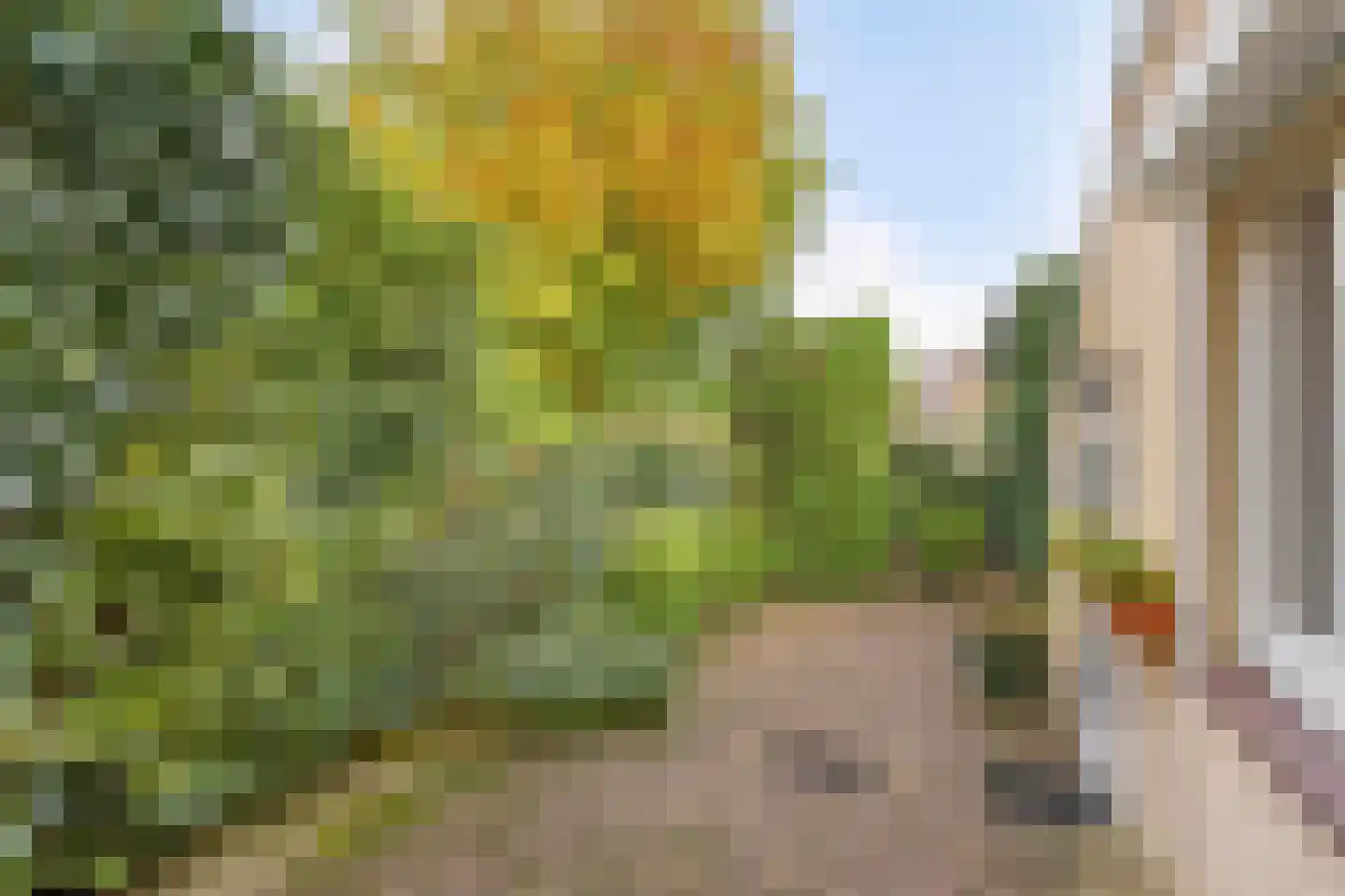 Concordiastraat 22 Maastricht thumbnail 20