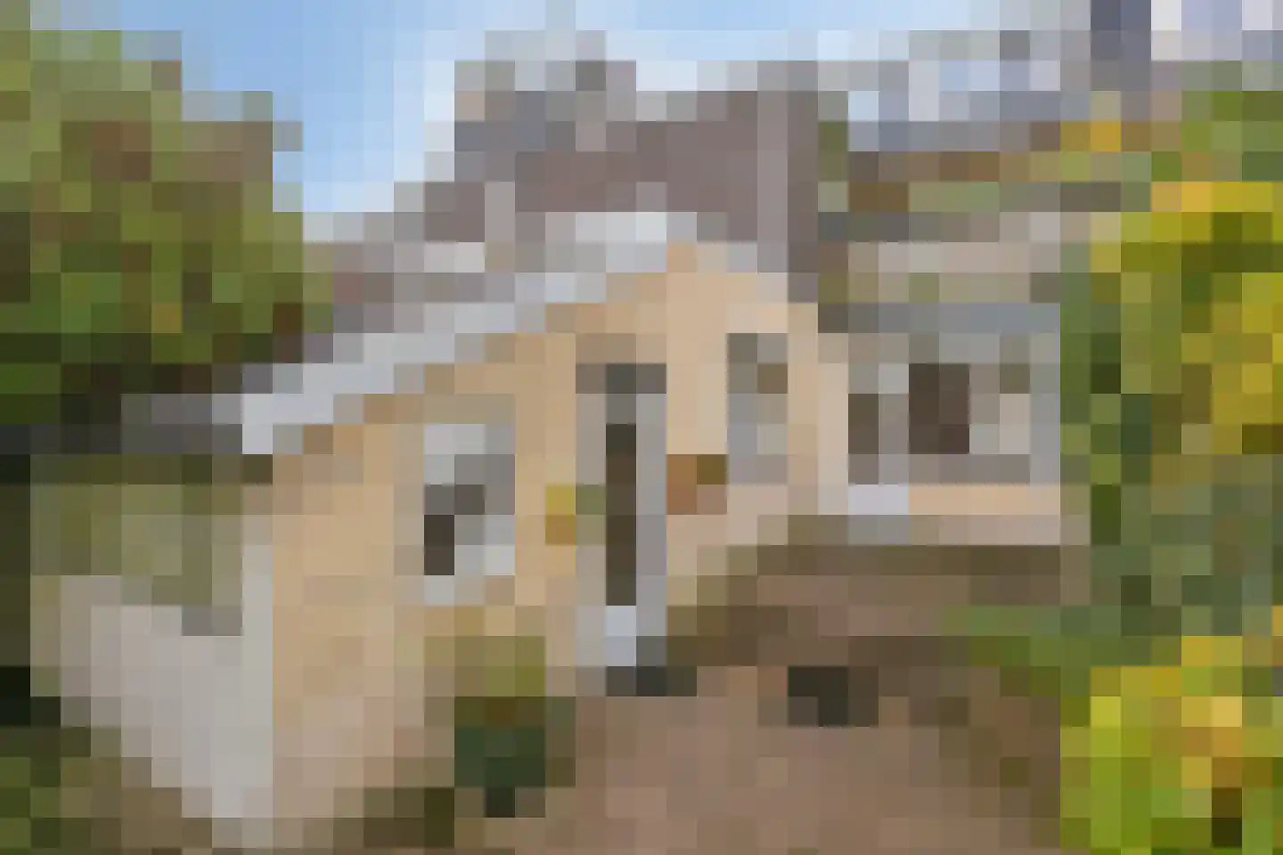 Concordiastraat 22 Maastricht thumbnail 22