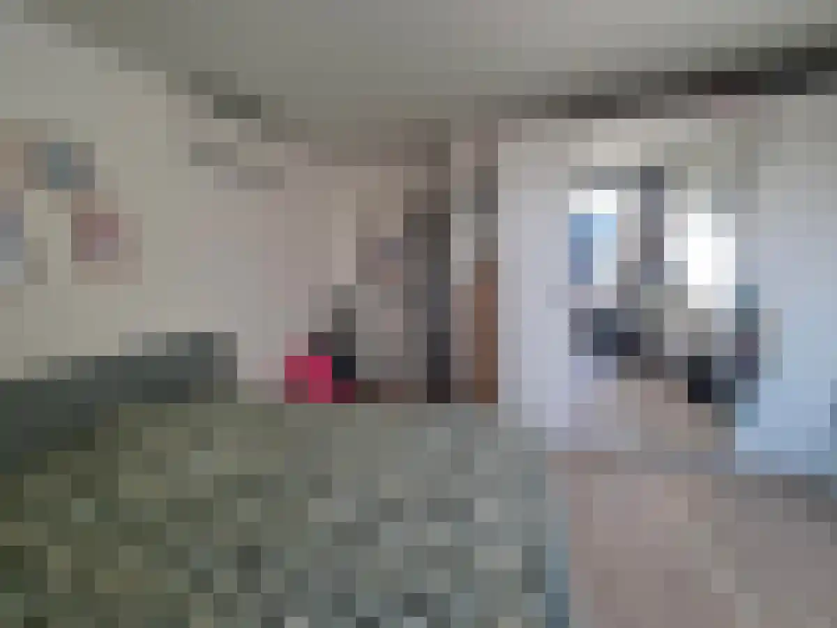 Concordiastraat 24 Breda thumbnail 6