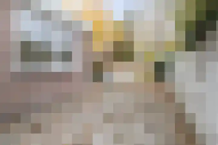 Concordiastraat 24 Maastricht thumbnail 11