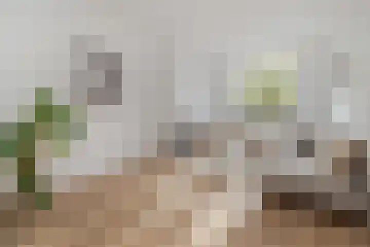 Concordiastraat 24 Maastricht thumbnail 4