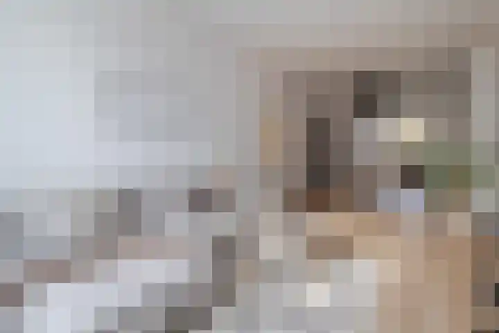 Concordiastraat 24 Maastricht thumbnail 6