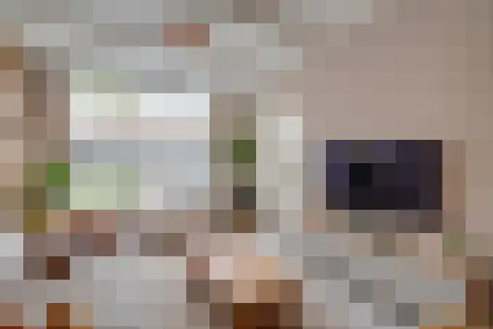 Concordiastraat 24 Utrecht thumbnail 10