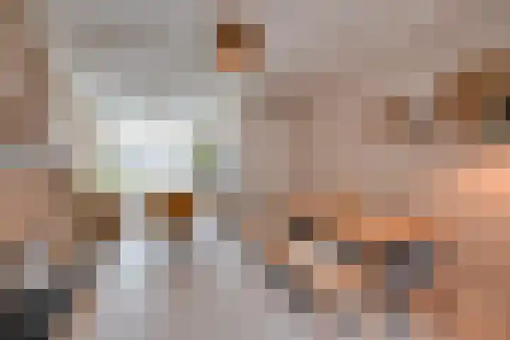 Concordiastraat 24 Utrecht thumbnail 12