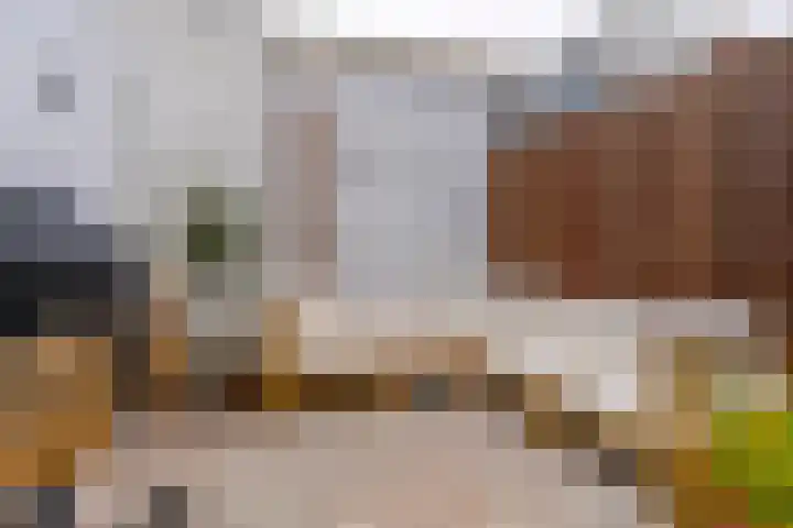 Concordiastraat 24 Utrecht thumbnail 20