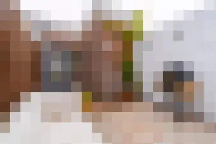 Concordiastraat 24 Utrecht thumbnail 22