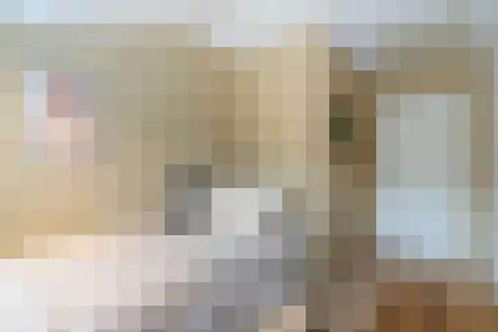 Concordiastraat 24 Utrecht thumbnail 35