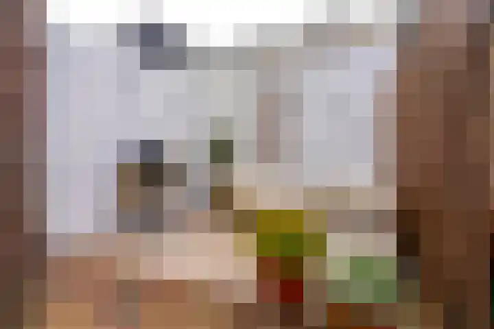 Concordiastraat 24 Utrecht thumbnail 4