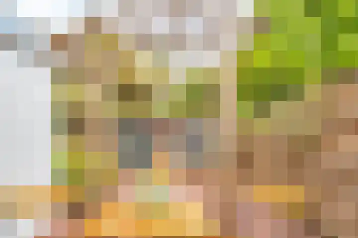 Concordiastraat 27 Utrecht thumbnail 17