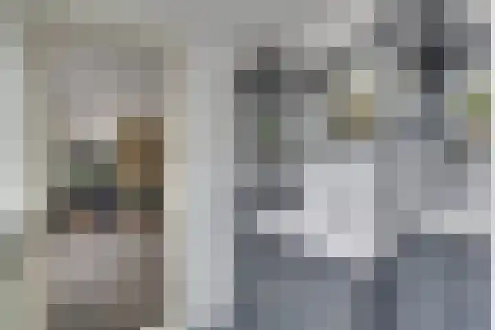 Concordiastraat 27 Utrecht thumbnail 22