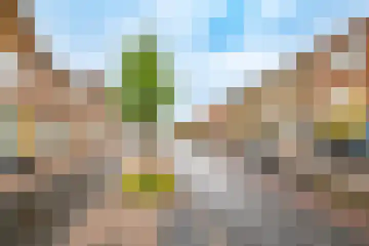 Concordiastraat 27 Utrecht thumbnail 36