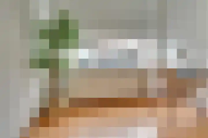 Concordiastraat 27 Utrecht thumbnail 6