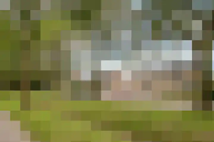 Concordiastraat 30 Einighausen thumbnail 22
