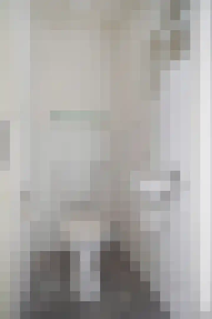 Concordiastraat 36 Leveroy thumbnail 11