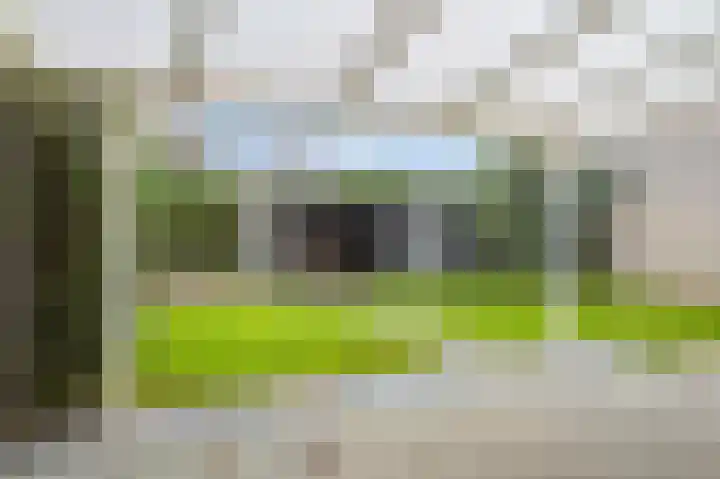 Concordiastraat 36 Leveroy thumbnail 16