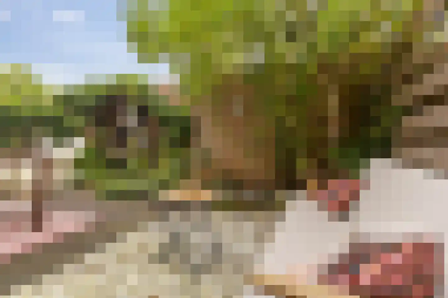 Concordiastraat 39 Groningen thumbnail 27