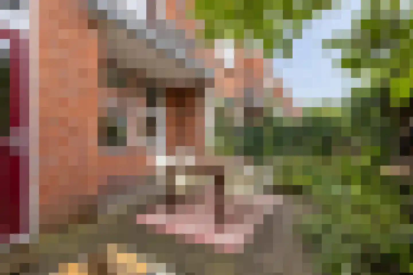 Concordiastraat 39 Groningen thumbnail 28