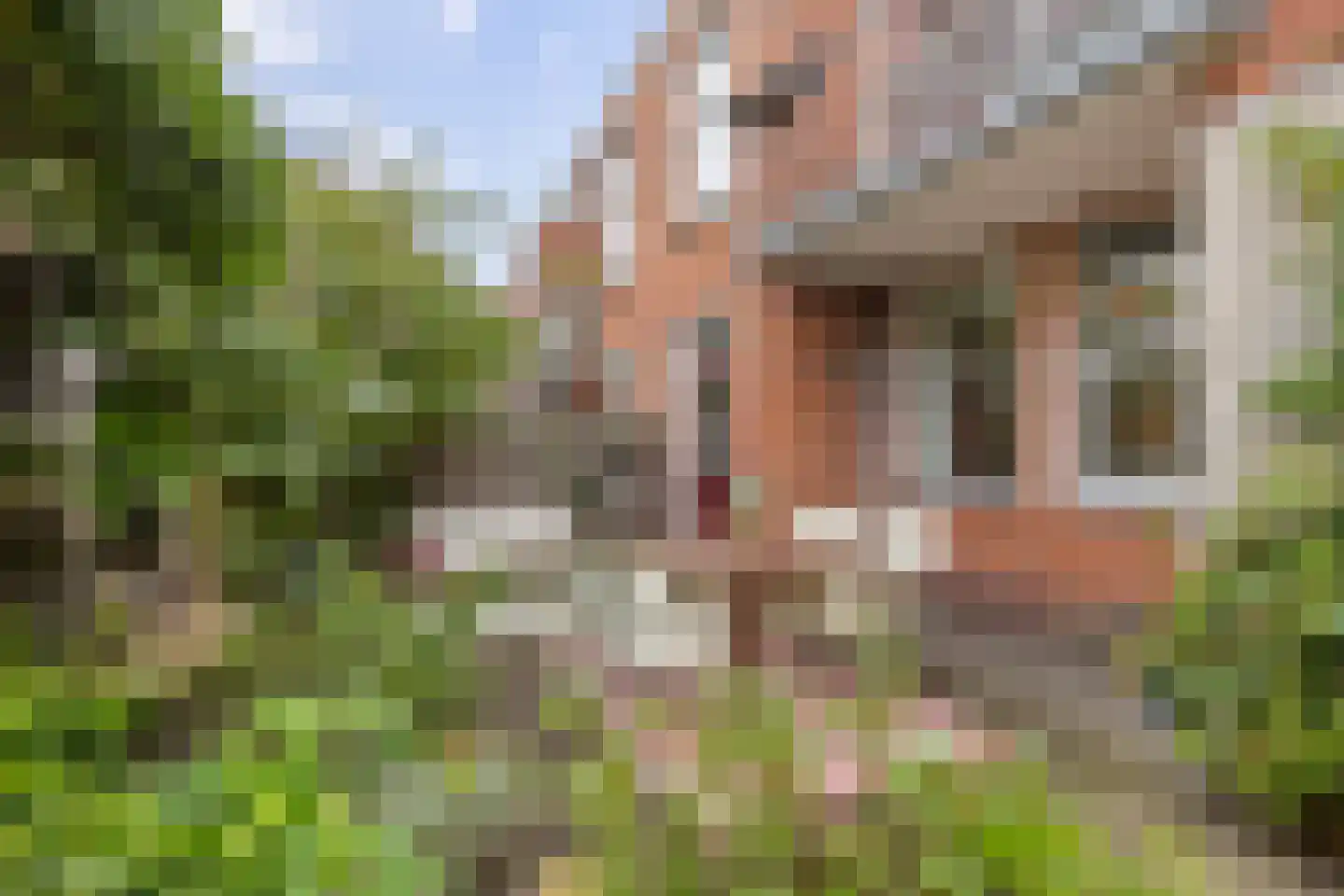 Concordiastraat 39 Groningen thumbnail 29