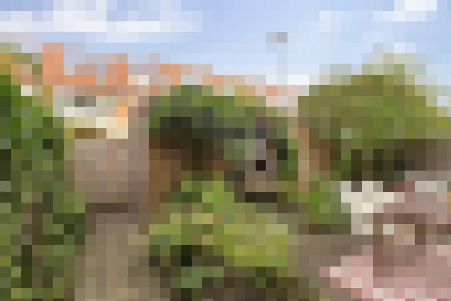 Concordiastraat 39 Groningen thumbnail 30