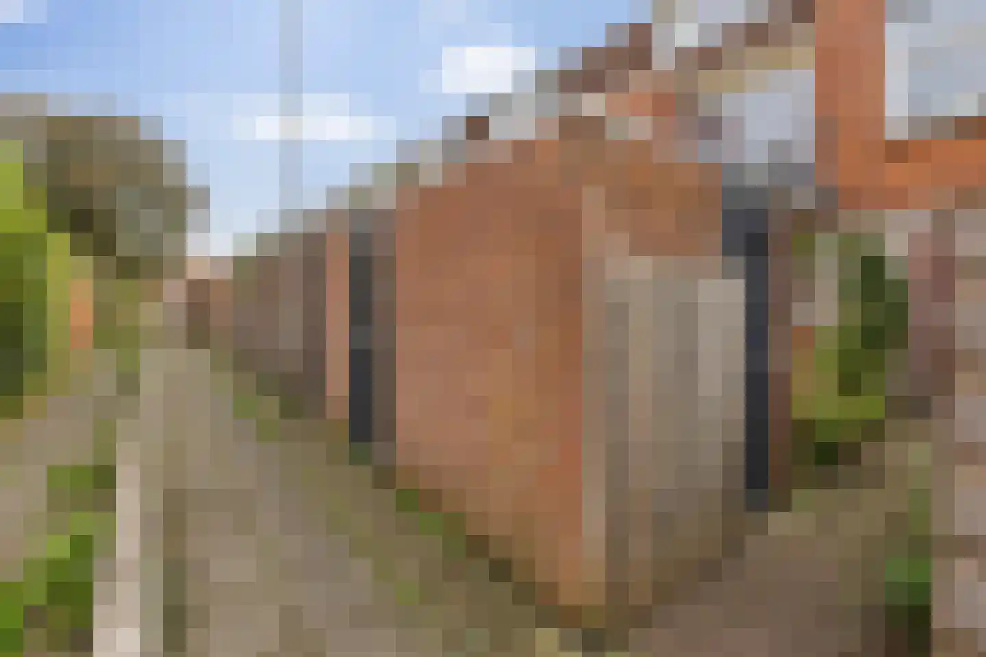 Concordiastraat 39 Groningen thumbnail 33