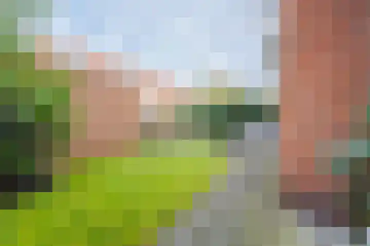 Concordiastraat 41 Groningen thumbnail 31