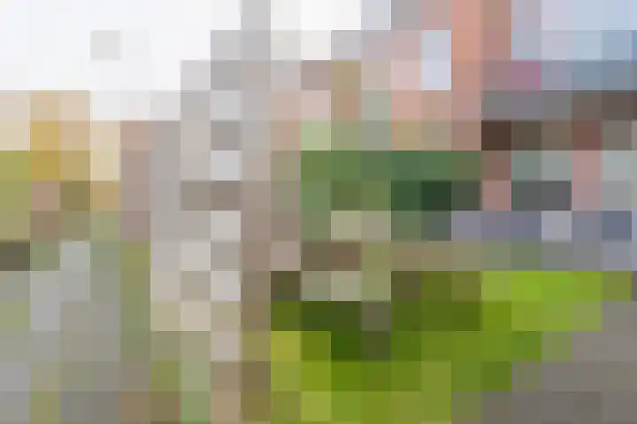 Concordiastraat 41 Groningen thumbnail 35