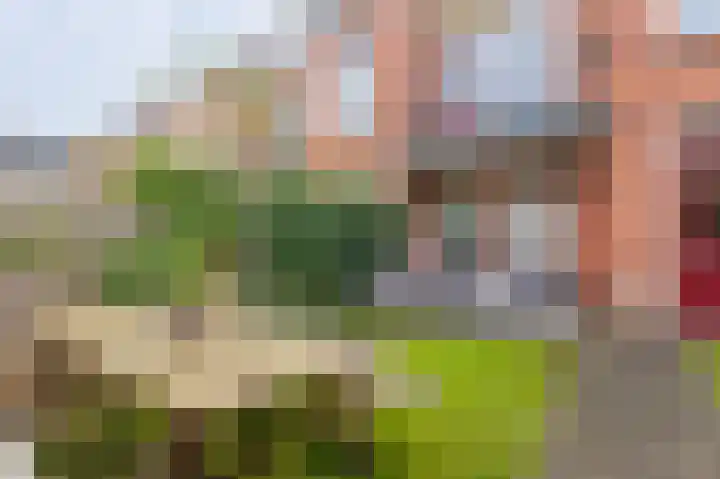 Concordiastraat 41 Groningen thumbnail 36