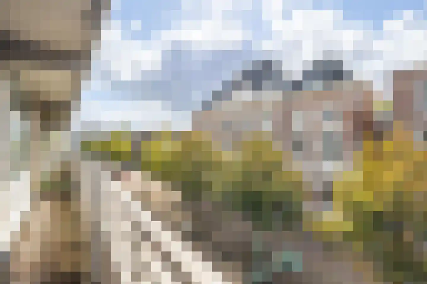 Concordiastraat 44 Breda thumbnail 38