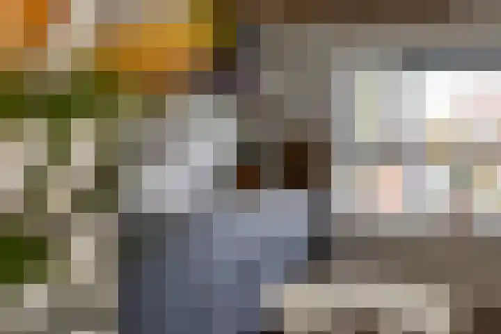 Concordiastraat 45 Meppel thumbnail 14