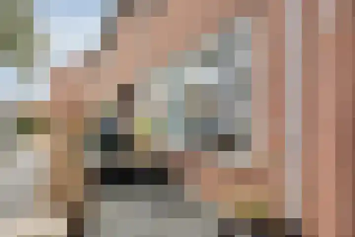 Concordiastraat 45 Meppel thumbnail 29