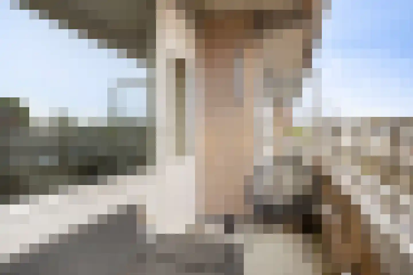 Concordiastraat 48 Breda thumbnail 5