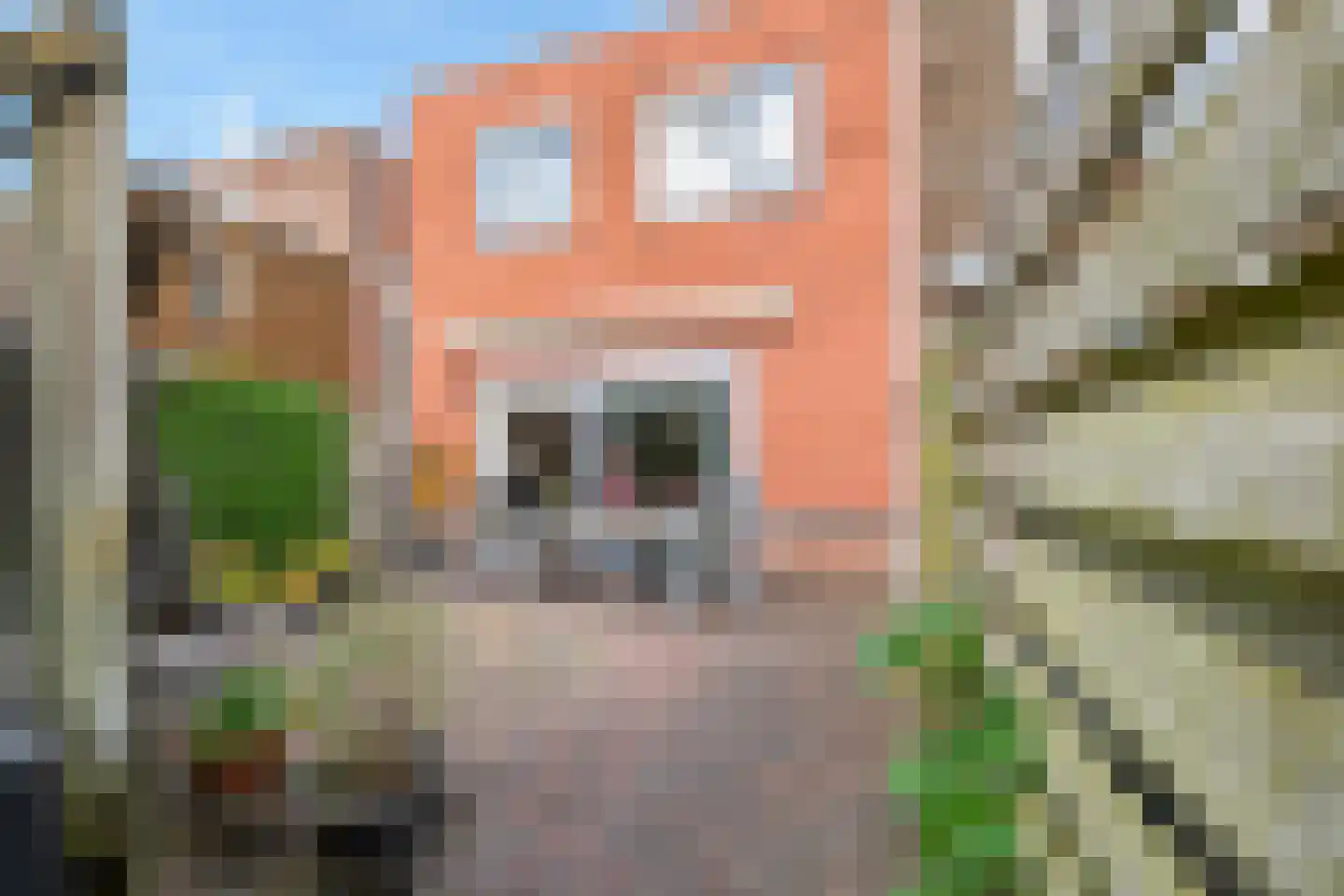 Concordiastraat 49 Meppel thumbnail 25