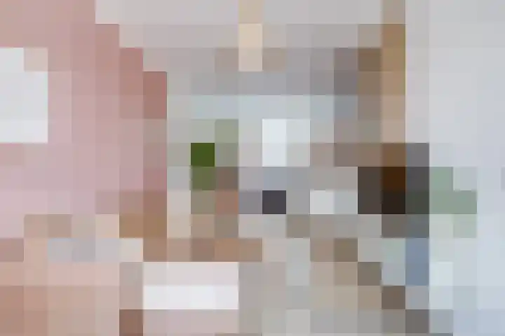 Concordiastraat 53 Utrecht thumbnail 10