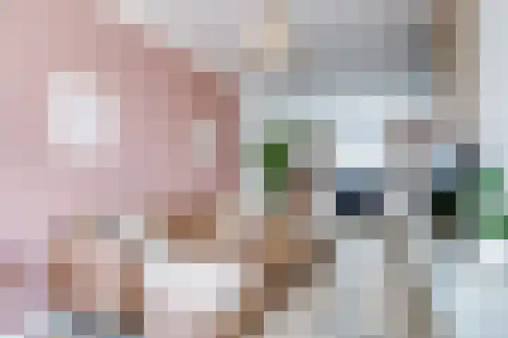 Concordiastraat 53 Utrecht thumbnail 11