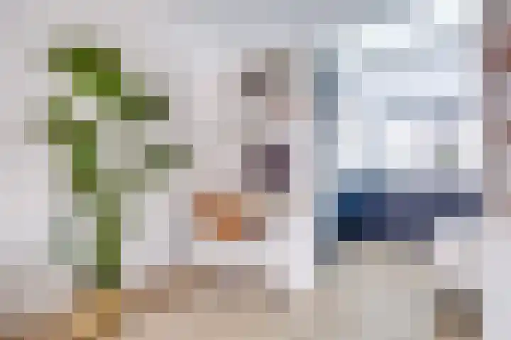 Concordiastraat 53 Utrecht thumbnail 15