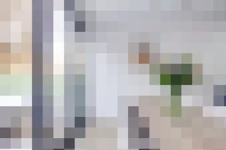 Concordiastraat 53 Utrecht thumbnail 29