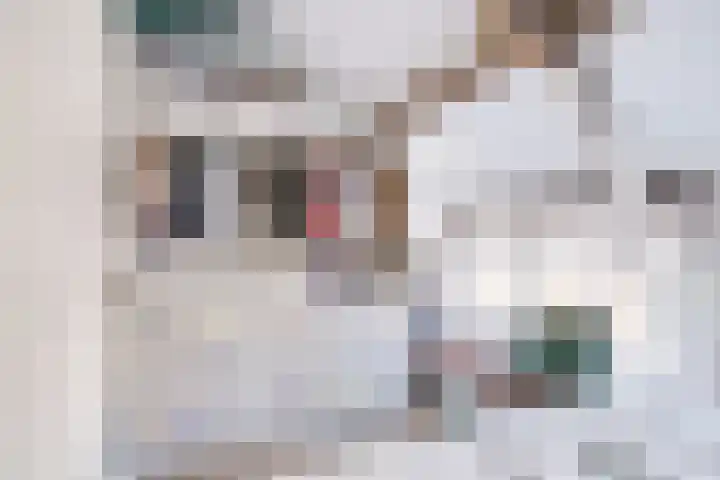 Concordiastraat 53 Utrecht thumbnail 46