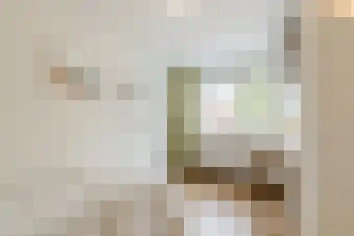 Concordiastraat 55 Meppel thumbnail 14