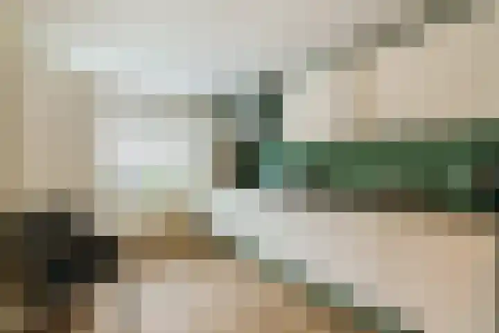 Concordiastraat 55 Meppel thumbnail 8