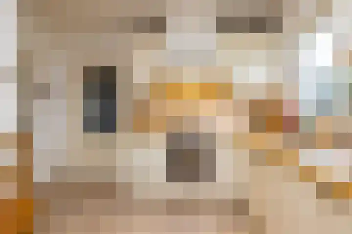 Concordiastraat 56 Einighausen thumbnail 17