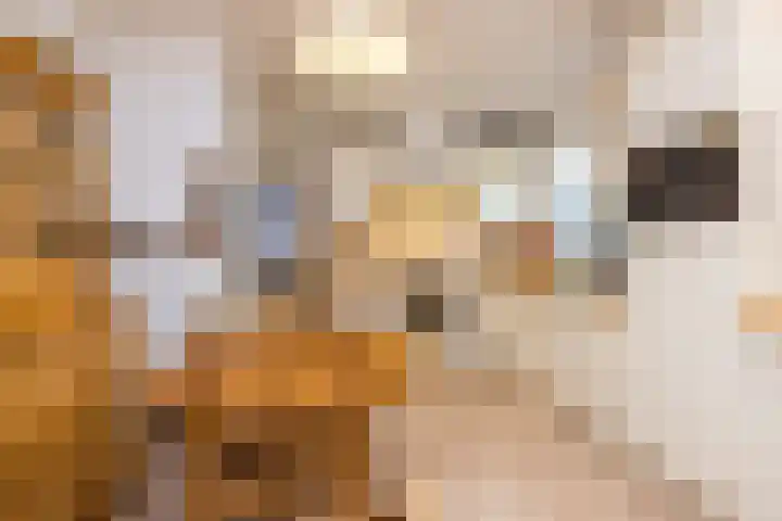 Concordiastraat 56 Einighausen thumbnail 18