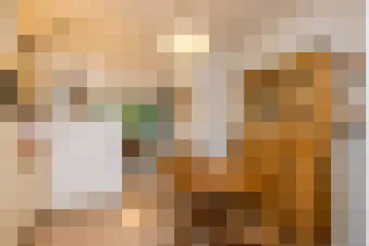 Concordiastraat 56 Einighausen thumbnail 19
