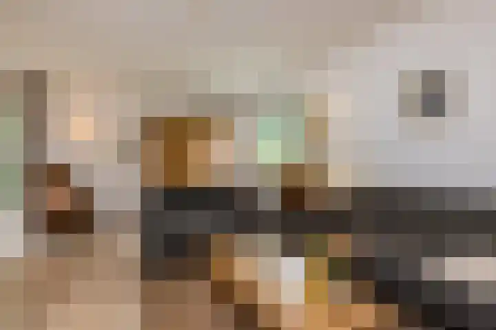 Concordiastraat 56 Einighausen thumbnail 25