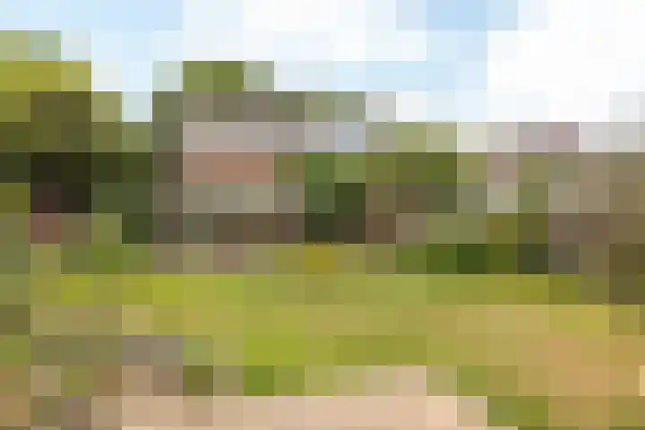 Concordiastraat 56 Einighausen thumbnail 29