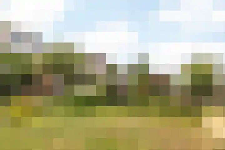 Concordiastraat 56 Einighausen thumbnail 30