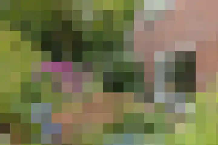 Concordiastraat 56 Einighausen thumbnail 32